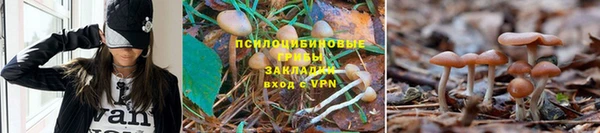 СК Артём