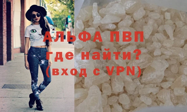 СК Магас